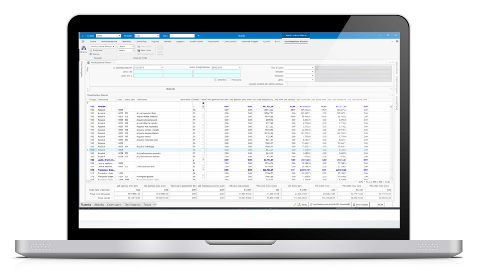 screenshot of Fluentis ERP